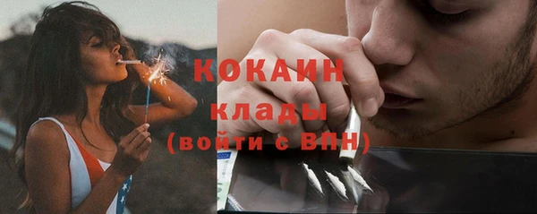 амф Инсар