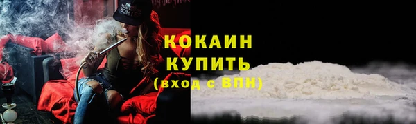 амф Инсар