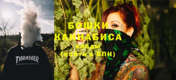 амф Инсар