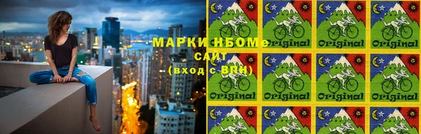 амф Инсар