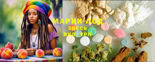 амф Инсар