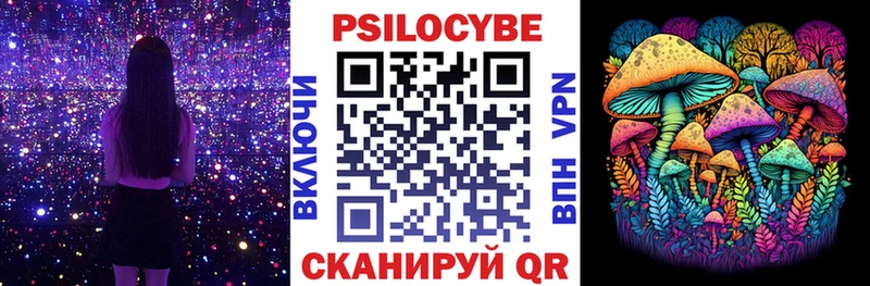 Купить где  Дивногорск  Псилоцибиновые грибы MAGIC MUSHROOMS 