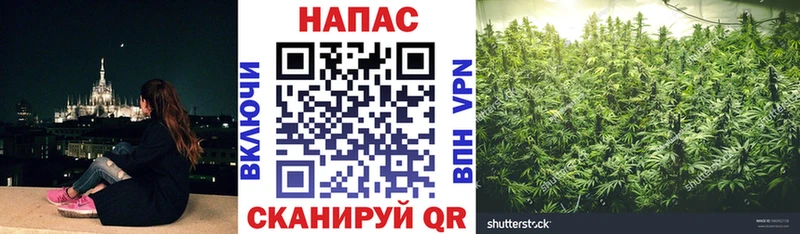 Купить где  Дивногорск  Конопля Ganja 